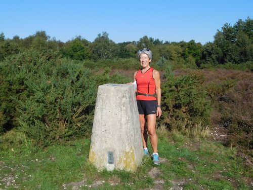 2020 trig